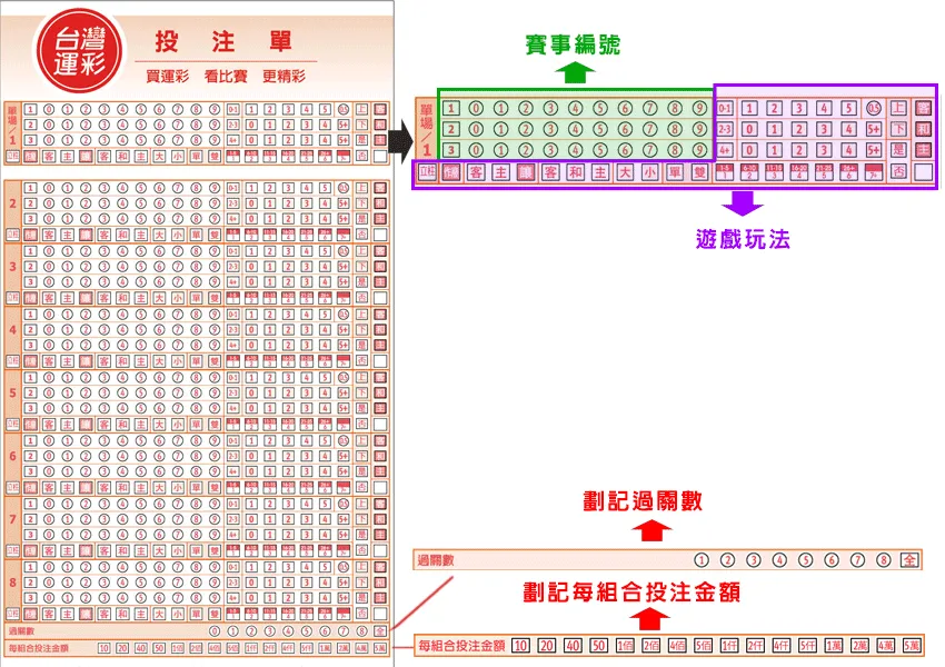 大樂透投注單填寫示範